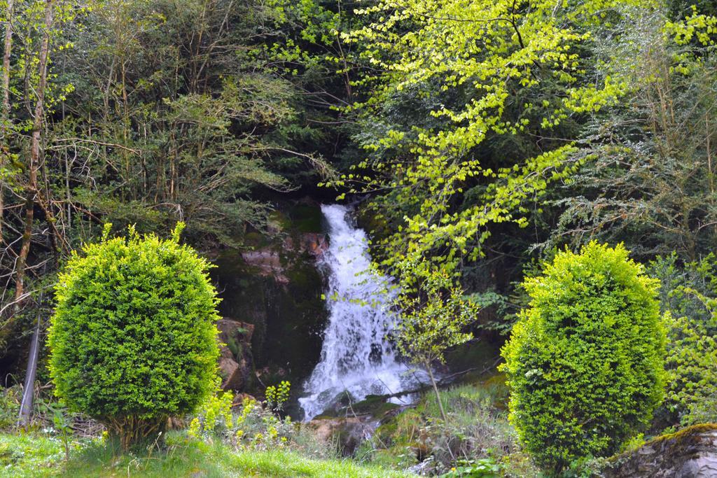 Maison La Douane - Comprends Nettoyage Professionnel Et Le Linge Laruns Bagian luar foto